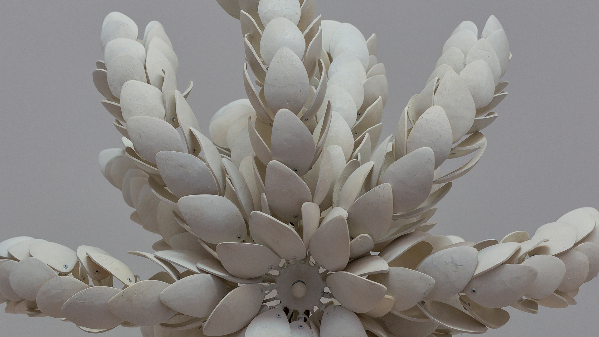 Quinta Butterfly - QUINTA DO LAGO (6)