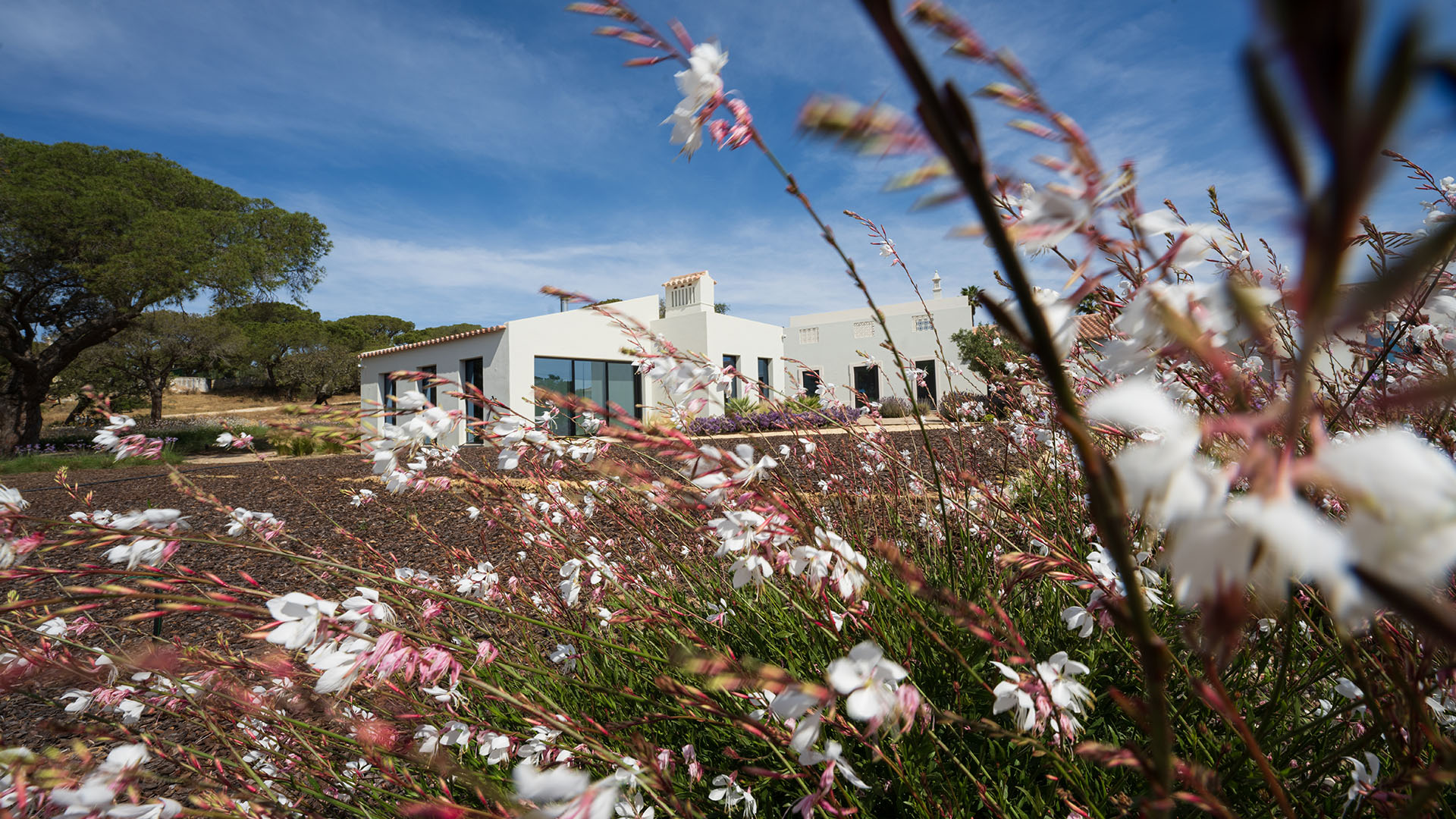 Quinta Brewer - VALE DO LOBO - Exteriors (3)